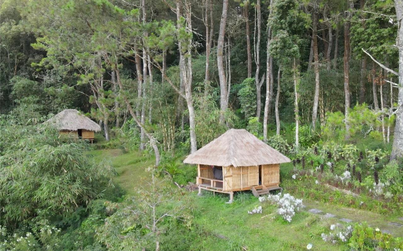 Ticket To The Moon Hammock Camp Selat Exterior foto